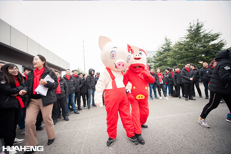 1548819702841099.jpg 005.jpg